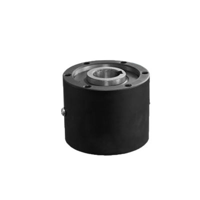 satın al BS160HS BS220HS Yüksek Torklu Tek Yönlü Debriyaj Konveyör Ruloları Çalışan Debriyaj Üzerinden online manufacture